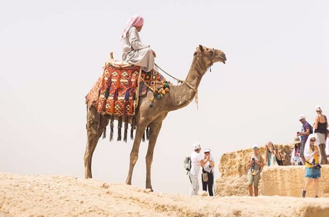 Camel Safari Tour Jaisalmer